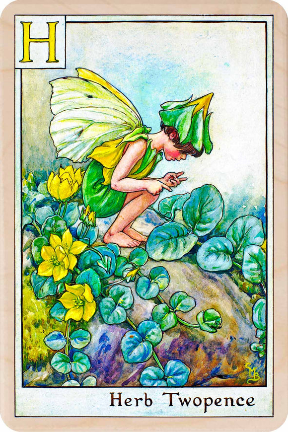 H HERB TWOPENCE FAIRY
