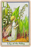 L LILY OF THE VALLEY FAIRY