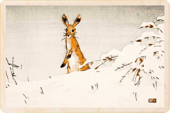 SNOW AND HARE