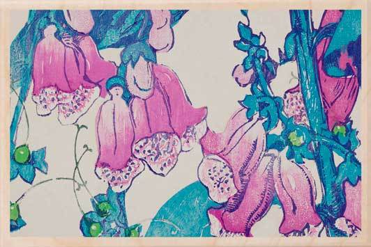 FOXGLOVES-[national_galleries]-[Scotland]-[wooden_postcard]THE WOODEN POSTCARD COMPANY