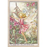 ROSE BAY WILLOW HERB FAIRY