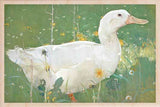 THE WHITE DRAKE-[national_galleries]-[Scotland]-[wooden_postcard]THE WOODEN POSTCARD COMPANY